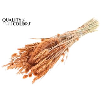 QC Strauß Getrocknete Blumenmischung | Farbe: Frostiges Lachsfarben | Länge ± 60 Zentimeter | Pro Bund
