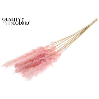 QC Dried Bleached Fluffy Pampas Plumes | Colour: Light Pink | Length ± 70 centimetres | 10 plumes per bunch | Per bunch