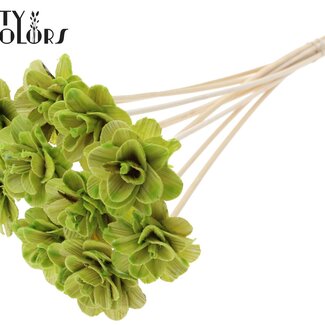QC Shola Houten Roos met was op stok | Kleur: Lichtgroen | Shola Beetal Rose Bijsteker | Diameter roos 6 centimeter | Lengte bijsteker ± 50 centimeter | 10 bijstekers per bos
