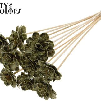 QC Shola Rose en bois avec cire sur tige | Couleur : Vert olive | Shola Beetal Rose Pique-fleur | Diamètre de la rose 6 centimètres | Longueur du pique-fleur ± 50 centimètres | 10 piques-fleurs par bouquet