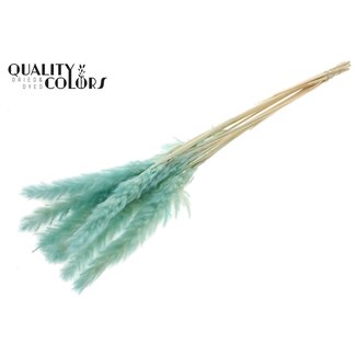 QC Dried Bleached Fluffy Pampas Plumes | Colour: Turquoise | Length ± 70 centimetres | 10 plumes per bunch | Per bunch
