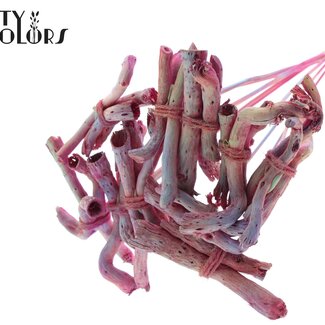 QC Gandiraj Branches sur tige | Couleur : Dégradé Rose | Gandiraj Piquet | Longueur ± 50 centimètres | 10 piquets par bouquet