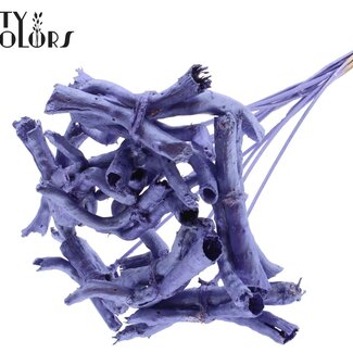 QC Gandiraj Branches sur tige | Couleur : Violet Métallique | Gandiraj Piquet décoratif | Longueur ± 50 centimètres | 10 piquets décoratifs par bouquet
