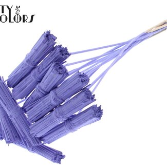 QC Kore Bouquet sur bâton | Couleur : Couleur Milka | Kore Pique-fleurs | Longueur du pique-fleurs ± 50 centimètres | 10 piques-fleurs par bouquet