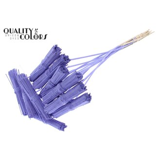 QC Kore Boeketje op stok | Kleur: Milkakleurig | Kore Bijsteker | Lengte bijsteker ± 50 centimeter | 10 bijstekers per bos