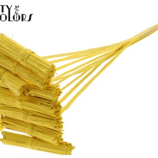 QC Kore Bouquet on Stick | Colour: Yellow | Kore Stick Insert | Stick Insert Length ± 50 centimetres | 10 stick inserts per bunch