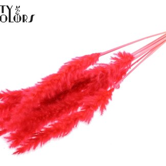 QC Gedroogde Gebleekte Fluffy Pampas Pluimen | Kleur: Koraalkleurig | Lengte ± 70 centimeter | 10 pluimen per bos | Per bos