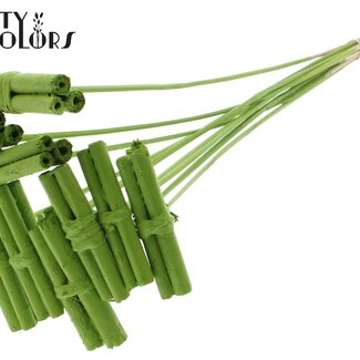QC Bouquet de Bâtonnets Décoratifs en Jute sur bâton | Couleur : Vert clair | Bâtonnet en Jute pour décoration | Longueur ± 50 centimètres | 10 bâtonnets par bouquet