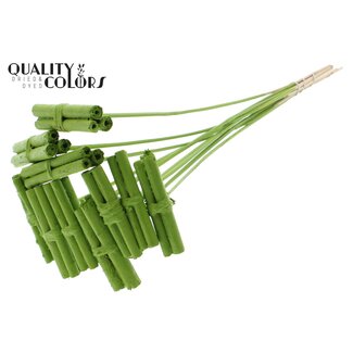 QC Decorative Jute Stick Posy on a Stick | Colour: Light Green | Jute Stick Posy Insert | Length ± 50 centimetres | 10 inserts per bunch