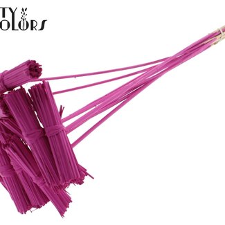 QC Kore Bouquet on Stick | Colour: Cherry-Coloured | Kore Stick | Stick Length ± 50 centimetres | 10 sticks per bunch