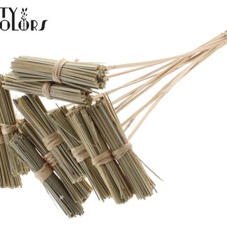 QC Kore Bouquet on Stick | Colour: Natural Brown | Kore Stick | Stick Length ± 50 centimetres | 10 sticks per bunch