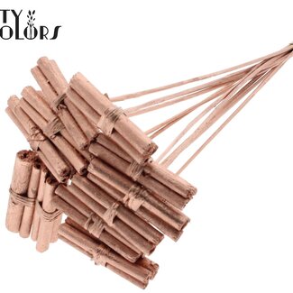QC Bouquet de Bâtonnets Décoratifs en Jute sur bâton | Couleur : Métallique Cuivré | Pique-Bouquet en Jute | Longueur ± 50 centimètres | 10 piques par bouquet