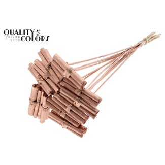 QC Decoratieve Jute Stokjes Boeketje op stok | Kleur: Metallic Koperkleurig | Jute Stick Posy Bijsteker | Lengte ± 50 centimeter | 10 bijstekers per bos