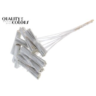 QC Kore Boeketje op stok | Kleur: Wit | Kore Bijsteker | Lengte bijsteker ± 50 centimeter | 10 bijstekers per bos