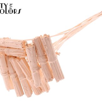 QC Kore Bouquet sur tige | Couleur : Abricot | Kore Piquet | Longueur du piquet ± 50 centimètres | 10 piquets par bouquet