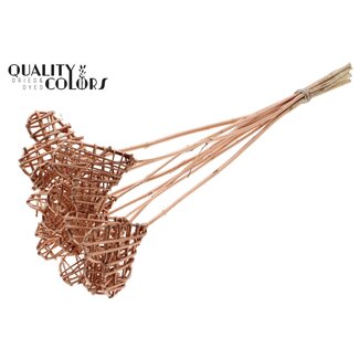 QC Rattan Lata Heart on stick | Colour: Copper-coloured | Lata Heart flat Plant Stake | Length ± 50 centimetres | 10 stakes per bunch