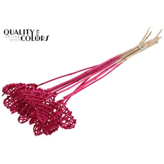 QC Rattan Lata Heart on stick | Colour: Cherry-coloured | Lata Heart flat Plant Stake | Length ± 50 centimetres | 10 plant stakes per bunch
