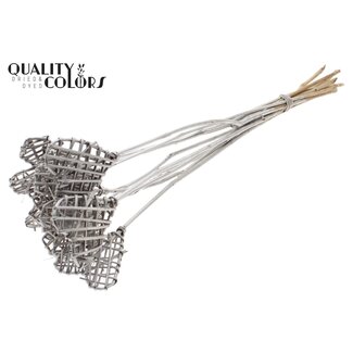 QC Rattan Lata Herz auf Stiel | Farbe: Platinfarben | Lata Heart flacher Einstecker | Länge ± 50 Zentimeter | 10 Einstecker pro Bund