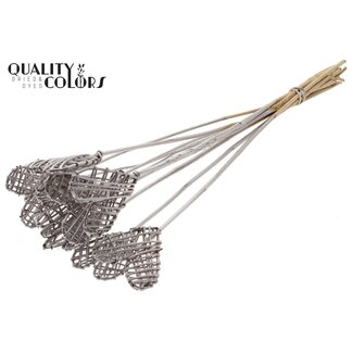 QC Rattan Lata Heart on stick | Colour: Champagne-coloured | Lata Heart flat Plant Stake | Length ± 50 centimetres | 10 plant stakes per bunch