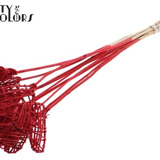 QC Cœur en rotin Lata sur tige | Couleur : Rouge | Pique-plat Lata Heart | Longueur ± 50 centimètres | 10 piques par bouquet