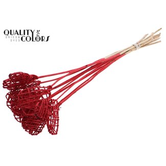 QC Rotan Lata Hart op stok | Kleur: Rood | Lata Heart platte Bijsteker | Lengte ± 50 centimeter | 10 bijstekers per bos