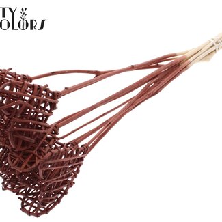 QC Cœur en rotin Lata sur bâton | Couleur : Marron | Cœur Lata pique-plat | Longueur ± 50 centimètres | 10 piques par bouquet