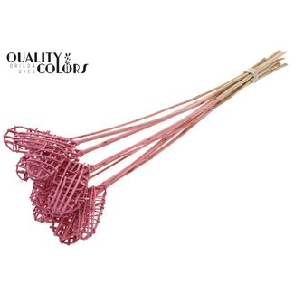 QC Rattan Lata Herz auf Stiel | Farbe: Frosted Hellrosa | Lata Herz flacher Stecker | Länge ± 50 Zentimeter | 10 Stecker pro Bund