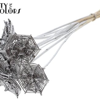 QC Rotan Lata Spinnenweb op stok | Kleur: Zilverkleurig | Lata Spiderweb platte Bijsteker | Lengte ± 50 centimeter | 10 bijstekers per bos