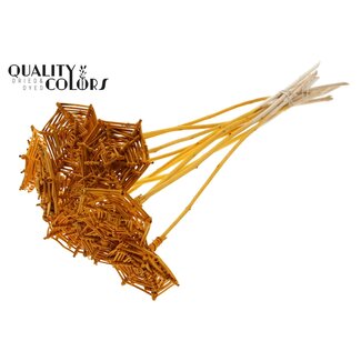QC Rattan Lata Spiderweb on stick | Colour: Apricot | Lata Spiderweb flat Plant Stake | Length ± 50 centimetres | 10 plant stakes per bunch