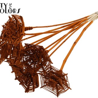QC Rotan Lata Spinnenweb op stok | Kleur: Terracotta | Lata Spiderweb platte Bijsteker | Lengte ± 50 centimeter | 10 bijstekers per bos