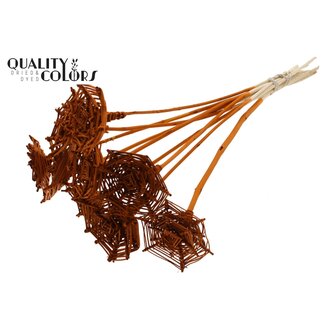 QC Rattan Lata Spiderweb on stick | Colour: Terracotta | Lata Spiderweb flat Plant Stake | Length ± 50 centimetres | 10 plant stakes per bunch