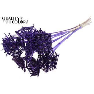 QC Rattan Lata Spiderweb on stick | Colour: Purple | Lata Spiderweb flat Plant Stake | Length ± 50 centimetres | 10 plant stakes per bunch