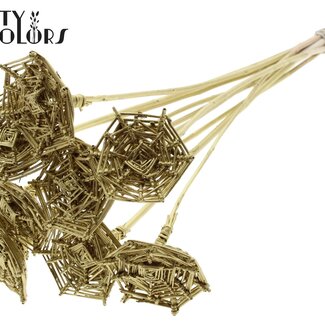 QC Toile d'araignée en rotin Lata sur tige | Couleur : Doré | Toile d'araignée Lata piquet plat | Longueur ± 50 centimètres | 10 piquets par bouquet
