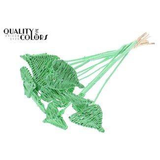 QC Rattan Lata Heart on stick | Colour: Mint Green | Lata Heart flat Plant Stake | Diameter 8 centimetres | Length ± 50 centimetres | 10 stakes per bunch