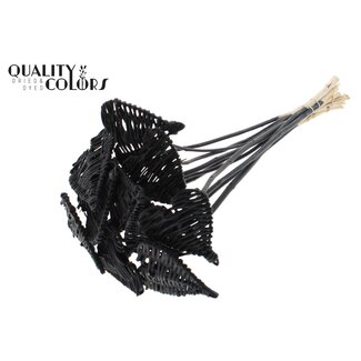 QC Rattan Lata Heart on stick | Colour: Black | Lata Heart flat Plant Stake | Diameter 8 centimetres | Length ± 50 centimetres | 10 stakes per bunch