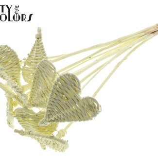 QC Cœur en rotin Lata sur tige | Couleur : Crème | Pique décorative plate Lata Heart | Diamètre 8 centimètres | Longueur ± 50 centimètres | 10 piques par bouquet