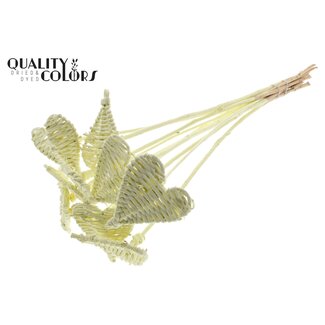 QC Rattan Lata Herz auf Stab | Farbe: Cremefarben | Lata Herz flache Einstecker | Durchmesser 8 Zentimeter | Länge ± 50 Zentimeter | 10 Einstecker pro Bund