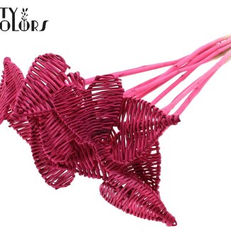 QC Rattan Lata Heart on stick | Colour: Cherry-coloured | Lata Heart flat Plant Stake | Diameter 8 centimetres | Length ± 50 centimetres | 10 plant stakes per bunch
