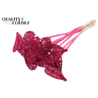 QC Rattan Lata Herz auf Stab | Farbe: Kirschfarben | Lata Herz flache Einstecker | Durchmesser 8 Zentimeter | Länge ± 50 Zentimeter | 10 Einstecker pro Bund