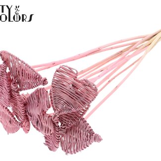 QC Cœur en rotin Lata sur tige | Couleur : Rose givré | Pique-plat Cœur Lata | Diamètre 8 centimètres | Longueur ± 50 centimètres | 10 piques par bouquet