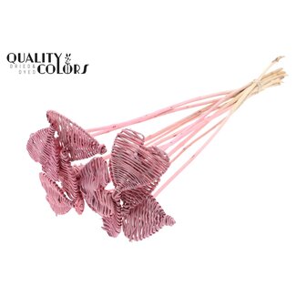 QC Rattan Lata Herz auf Stiel | Farbe: Frosted Rosa | Lata Herz flacher Stecker | Durchmesser 8 Zentimeter | Länge ± 50 Zentimeter | 10 Stecker pro Bund