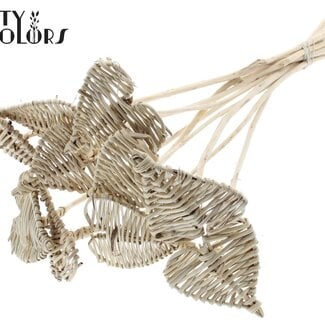 QC Rattan Lata Heart on stick | Colour: Natural White | Lata Heart flat Pick | Diameter 8 centimetres | Length ± 50 centimetres | 10 picks per bunch