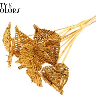 QC Rotin Lata Cœur sur tige | Couleur : Abricot | Lata Heart piquet plat | Diamètre 8 centimètres | Longueur ± 50 centimètres | 10 piquets par bouquet