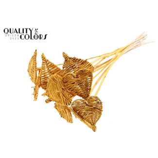 QC Rattan Lata Heart on stick | Colour: Apricot | Lata Heart flat Pick | Diameter 8 centimetres | Length ± 50 centimetres | 10 picks per bunch
