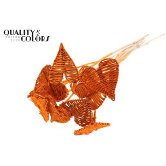 QC Rattan Lata Heart on stick | Colour: Orange | Lata Heart flat Plant Stake | Diameter 8 centimetres | Length ± 50 centimetres | 10 stakes per bunch