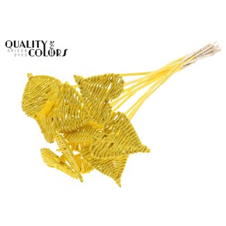 QC Rattan Lata Herz auf Stab | Farbe: Gelb | Lata Herz flache Stecker | Durchmesser 8 Zentimeter | Länge ± 50 Zentimeter | 10 Stecker pro Bund