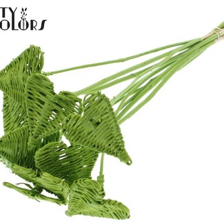 QC Cœur en rotin Lata sur tige | Couleur : Vert clair | Pique plat Lata Heart | Diamètre 8 centimètres | Longueur ± 50 centimètres | 10 piques par bouquet