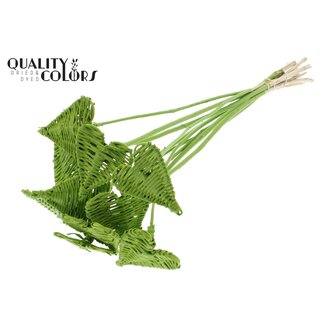 QC Rattan Lata Herz auf Stab | Farbe: Hellgrün | Lata Herz flacher Pflanzenstecker | Durchmesser 8 Zentimeter | Länge ± 50 Zentimeter | 10 Pflanzenstecker pro Bund