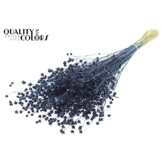 QC Gedroogd Lino Vlas | Kleur: Donkerblauw | Linum Droogbloemen | Lengte ± 50 centimeter | Gewicht 150 gram | Per bos
