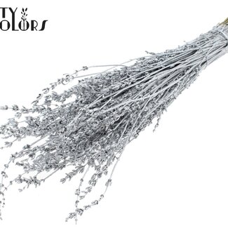 QC Gedroogde Lavendel | Kleur: Metallic Zilverkleurig | Lavendel Droogbloemen | Lengte ± 50 centimeter | Per bos